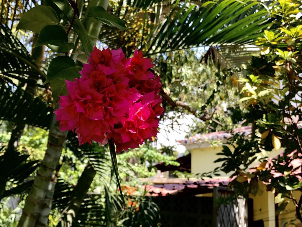 דילי Casa Do Sandalo Boutique Guest House מראה חיצוני תמונה